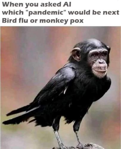 which is next