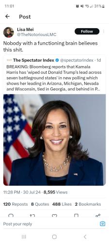 Screenshot_20240731_230105_X