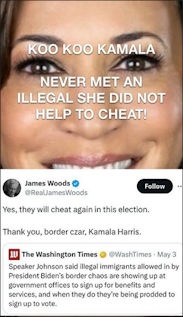 kamala harris341