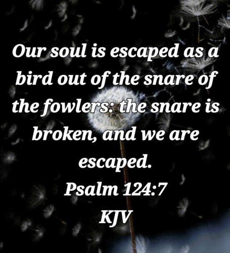 01:58:10 GMT-0700 (PDT)