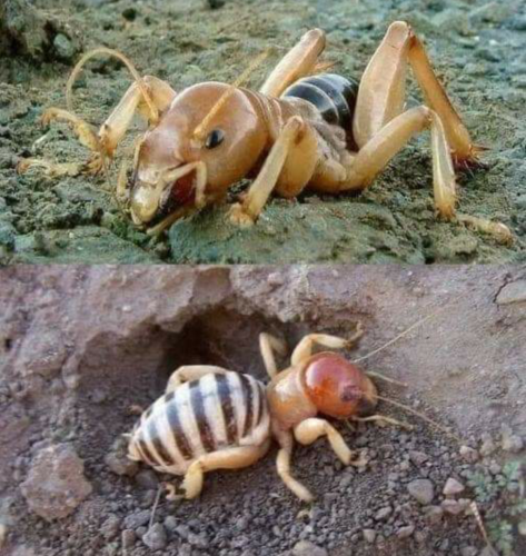 Screenshot_2024-08-01-12-29-18_kindlephoto-162133224