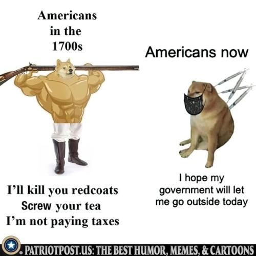 01J5B2R6MNFFM5WQ9YHE0VGCH2