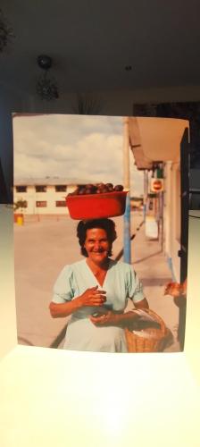 IMG_20240812_104857409