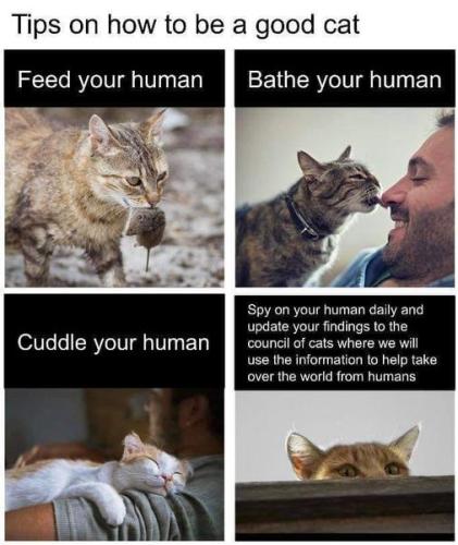 455271873_10232314384663514_9059687893358541082_n