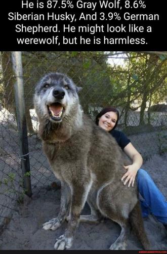 f620defec1327fd1582504d36af0d85243a9d5ac39e8d62f2554fbc1882cb0bf_1