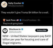 illegal immigration397