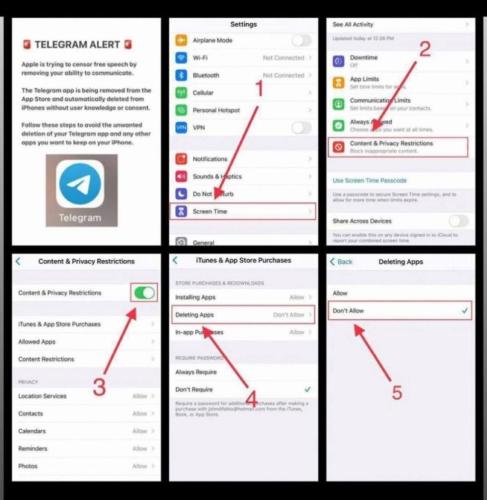 photo_2024-08-26_12-36-40