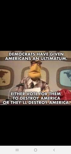 Screenshot_20240704-002839_Wimkin Free Speech Social Media