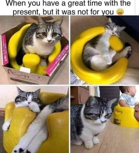 have-great-time-with-present-but-not