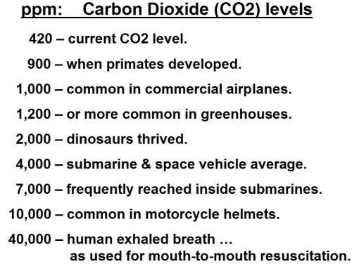 xephula_97c06a51b2a0158d51509ef1c9775b48