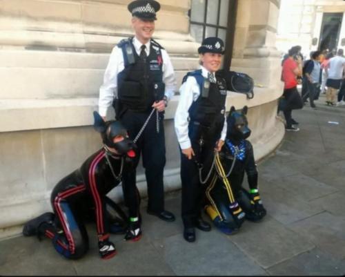 Screenshot_20240814-144203_Brave