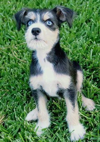 FB_IMG_1468287592683