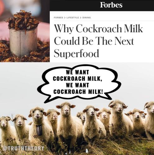 cockroach milk