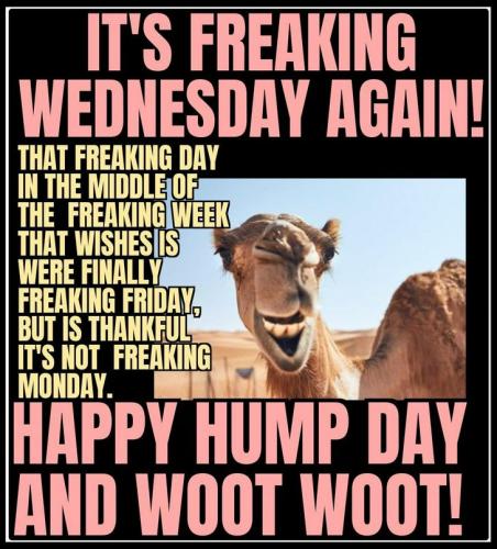 1-Hump Day