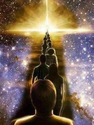 ,                              ,    ,