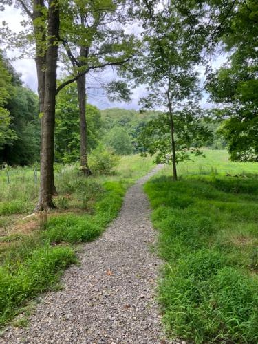 E53A4C65-676D-497E-86D9-60DCE76F3B3D