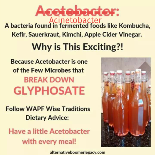 Screenshot_2024-08-20-11-19-15_kindlephoto-242473491