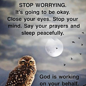 Screenshot_20240811-190134~4