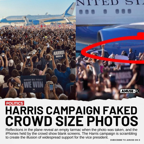 image_2024-08-11_090202334