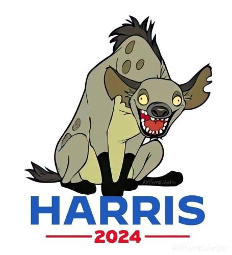 harris 2024