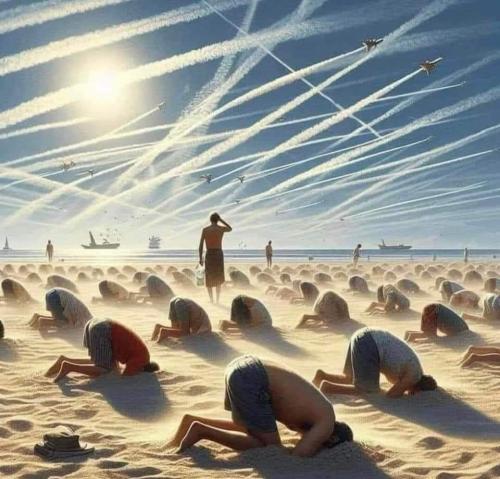look up