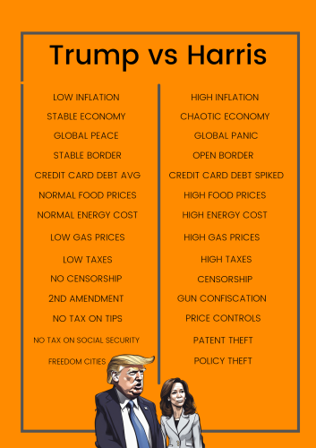 T - Chart Template_20240818_111733_0000