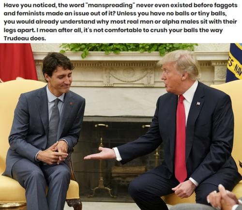 Explaining the Birds and the Bees 2024 manspreading.960px