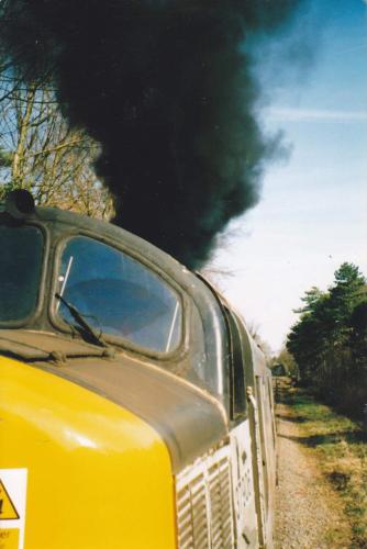 FB_IMG_1549912594600