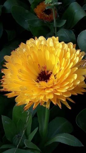 00:33:08 GMT-0500 (CDT)