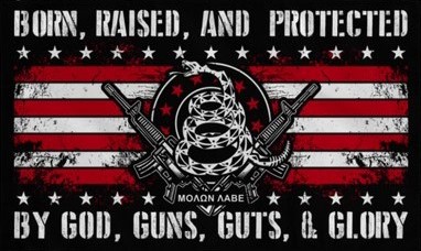 American-Born-Raised-and-Protected-by-god-guns-guts-and-glory-flag-2nd-amendment-snake-rifles-molon-labe