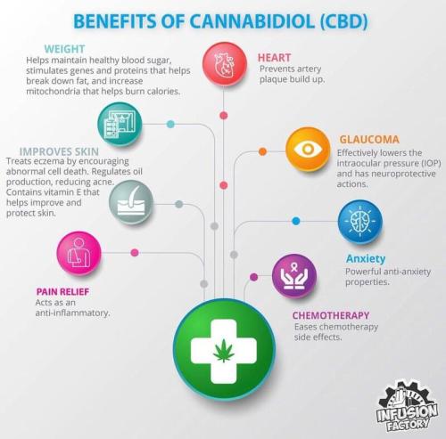 benefits of cbd oils