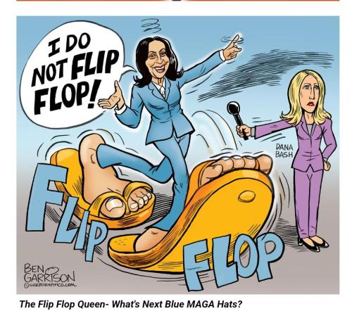 8926fb13-9e60-48d5-913c-695325d2a5e7