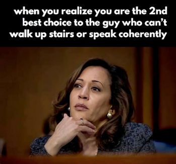 kamala harris338