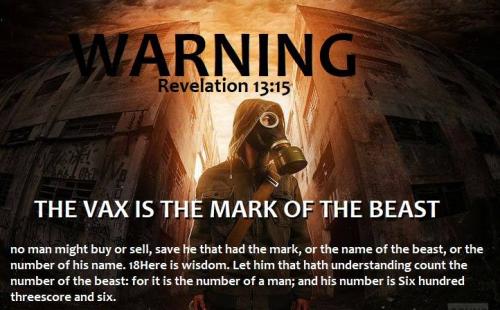 233690998_353774899590967_1426872976410613734_n