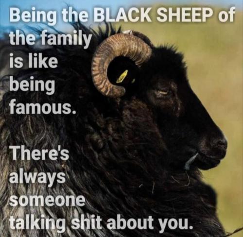 Screenshot_20240826_210424_Wimkin Free Speech Social Media