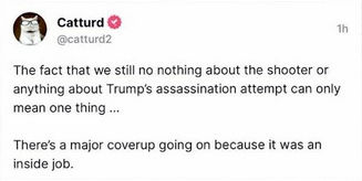 assassination attempt85