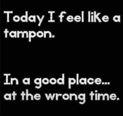 image_F66774A8-BB88-4CEC-A875-0E2C0DEA165E