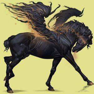 FB_IMG_1721706743046