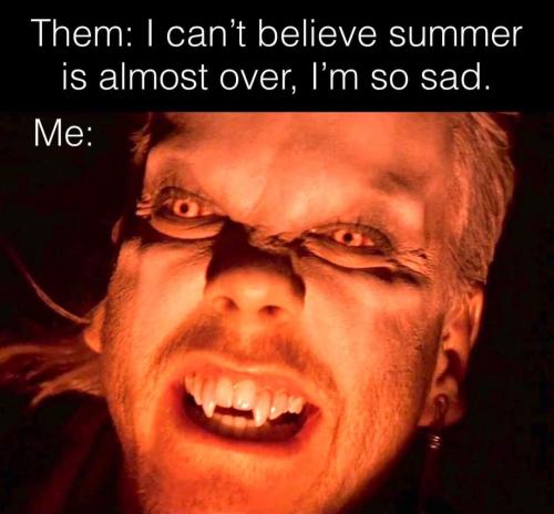 FB_IMG_1724679237589