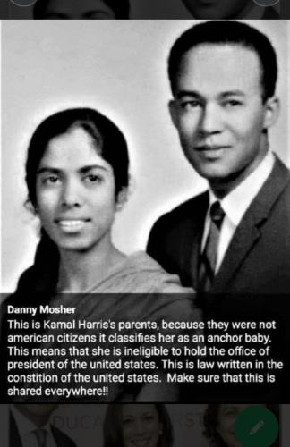 Kamala's  Parent's were NOT US citizens at her birth