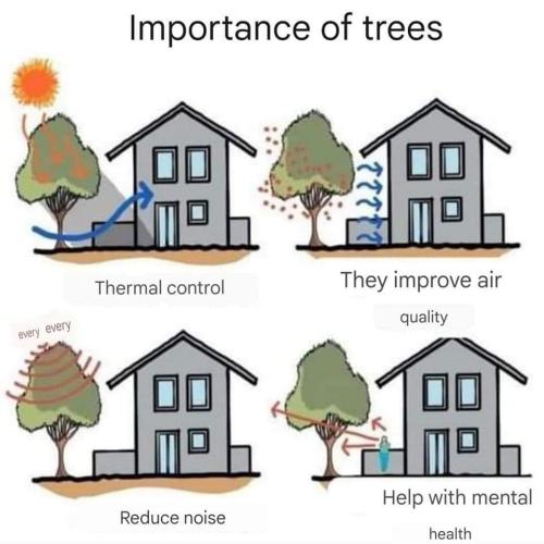 importance of trees