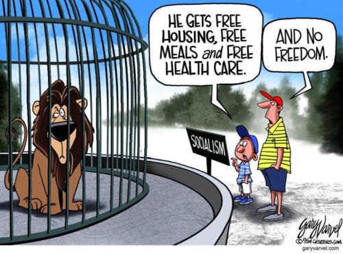 b103b69e-fe7d-4e11-848c-721fbc3bdd65_964x714