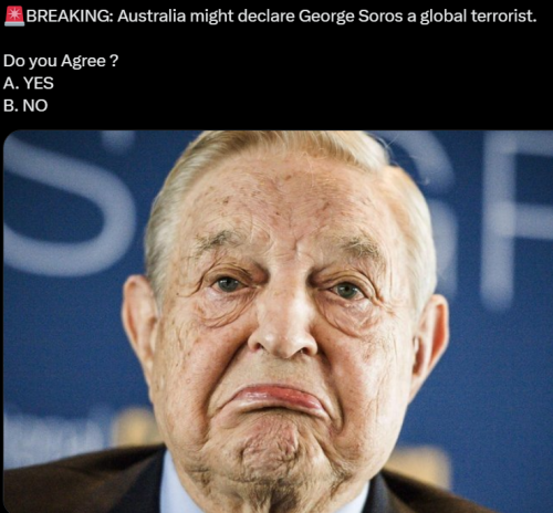 Screenshot 2024-08-28 122925