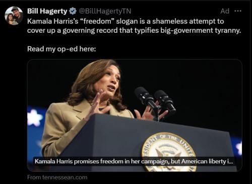 Screenshot 2024-08-17 053715