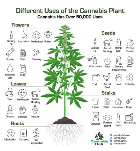 different uses