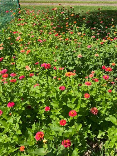 8BA122AA-3EC0-45F9-ADEF-5D8696A3E5AD