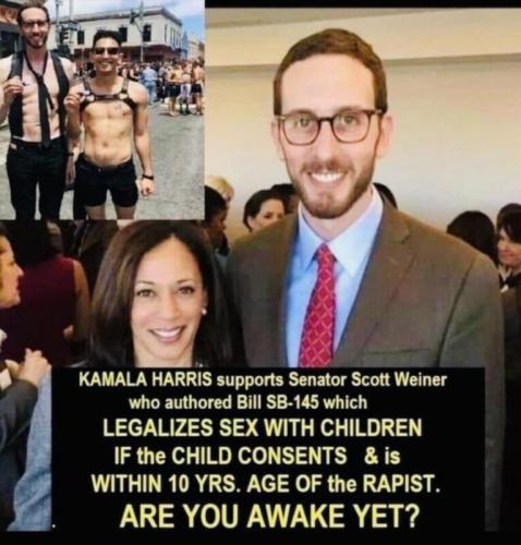 Kamala Harris supports pedophilia