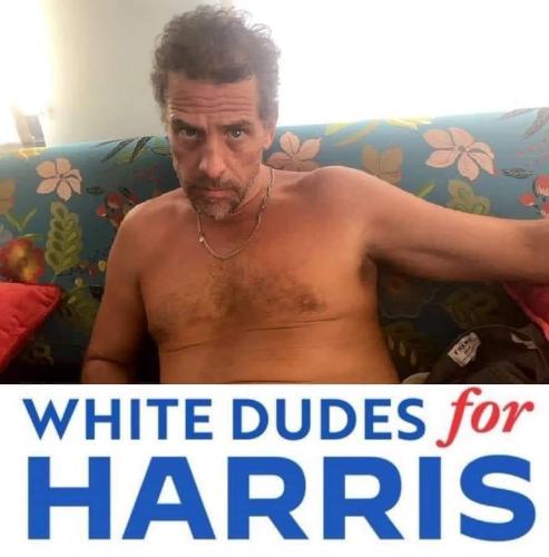 54693108-5dd5-4f9d-9ef8-871e295cad44