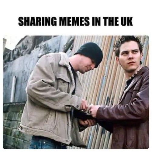 photo_2024-08-13_14-52-23