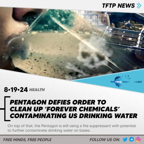 14444444444414142042